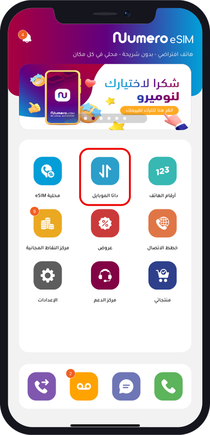 شريحة الكترونية لايرلندا